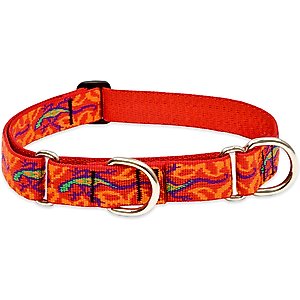 LupinePet Martingale Dog Collar, Go Go Gecko, X-Large: 19 to 27-in