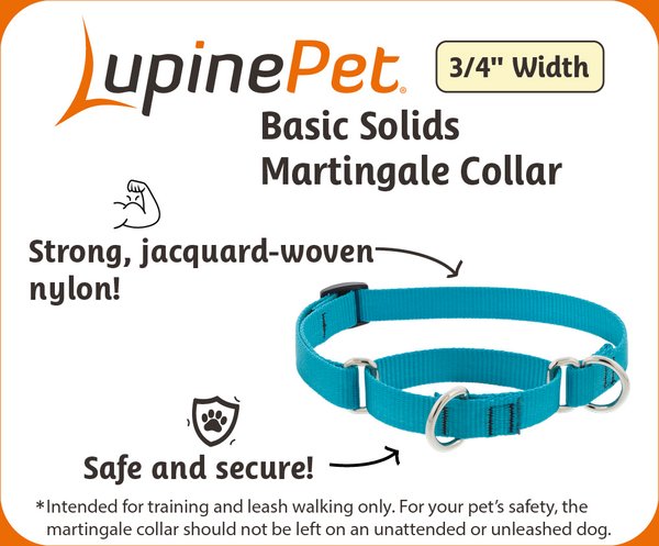 LupinePet Basic Solid Martingale Dog Collar