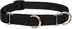 LupinePet Basic Solid Martingale Dog Collar, Black, Medium: 14 to 20-in