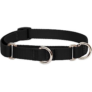 LupinePet Basic Solid Martingale Dog Collar, Black, Medium: 14 to 20-in