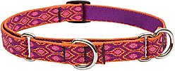 LupinePet Martingale Dog Collar, Alpen Glow, Medium: 14 to 20-in slide 1 of 6