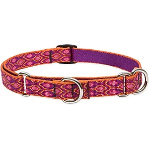 LupinePet Martingale Dog Collar, Alpen Glow, Medium: 14 to 20-in
