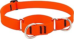 LupinePet Waterproof BioThane Martingale Dog Collar, Neon Orange, Large: 15 to 22-in
