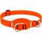 Show in main carousel: LupinePet Waterproof BioThane Martingale Dog Collar, Neon Orange, Large: 15 to 22-in slide 1 of 7