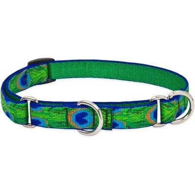LupinePet LupinePet Martingale Dog Collar, Tail Feathers, Small: 10 to 14-in