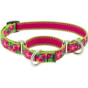 LupinePet Martingale Dog Collar, Petunias, Small: 10 to 14-in