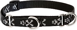 LupinePet Martingale Dog Collar, Bling Bonz, Small: 10 to 14-in
