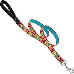 LupinePet Padded Handle Dog Leash, Crazy Daisy, Regular: 6-ft long, 3/4-in wide