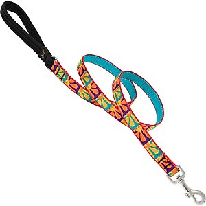 LupinePet Padded Handle Dog Leash, Crazy Daisy, Regular: 6-ft long, 3/4-in wide
