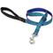 Show in main carousel: LupinePet Padded Handle Dog Leash, Rain Song, Regular: 6-ft long, 3/4-in wide slide 1 of 6