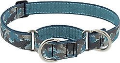 LupinePet Martingale Dog Collar, Sand Shark, Large: 15 to 22-in slide 1 of 6