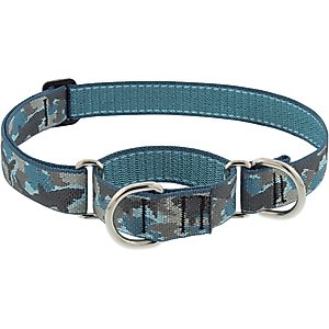 LupinePet Martingale Dog Collar, Sand Shark, Large: 15 to 22-in