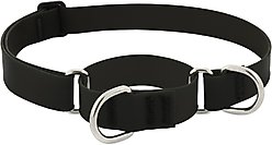 LupinePet Waterproof BioThane Martingale Dog Collar, Jet Black, Large: 15 to 22-in