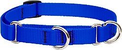 LupinePet Basic Solid Martingale Dog Collar, Blue, Medium: 14 to 20-in slide 1 of 6
