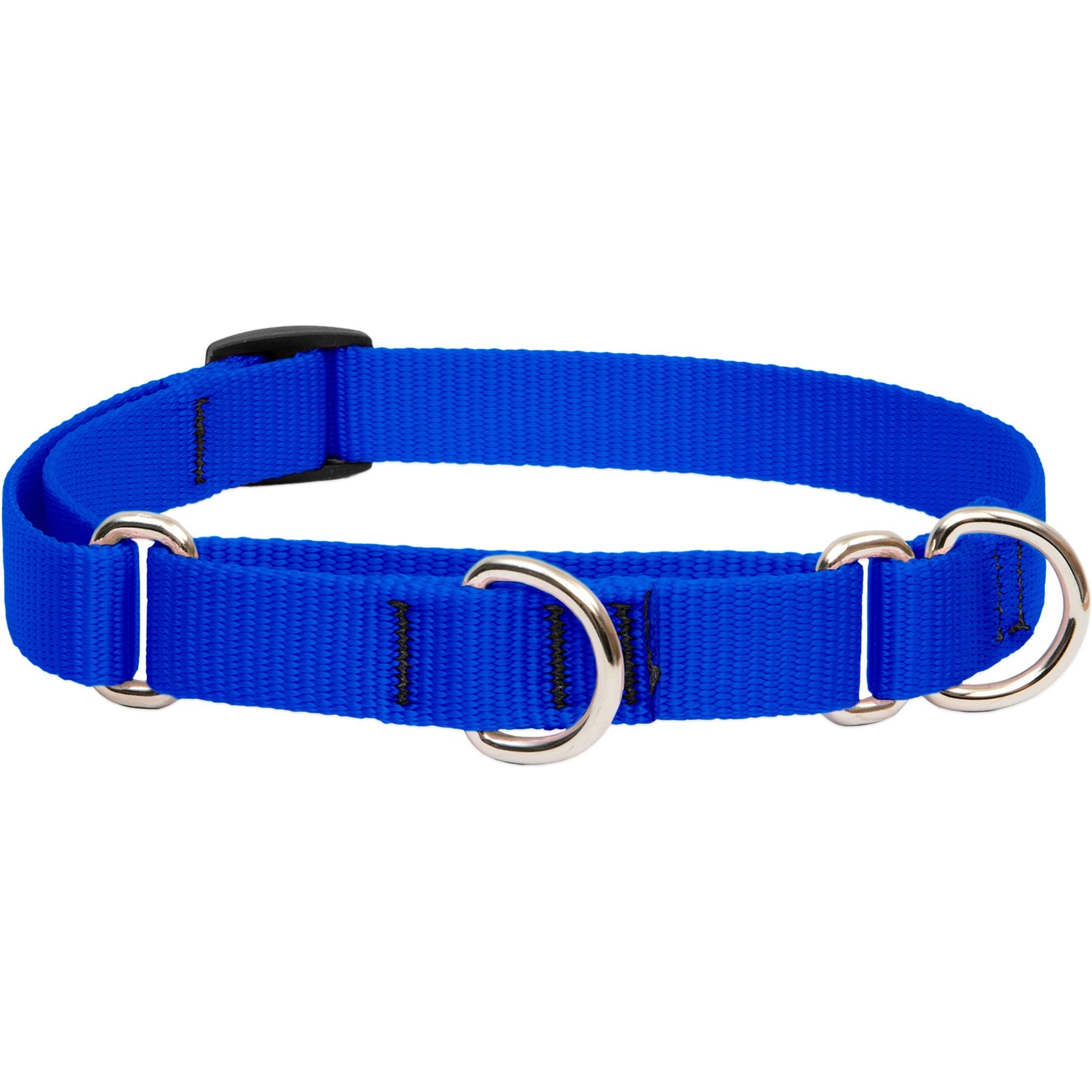LupinePet Basic Solid Martingale Dog Collar, Blue, Medium: 14 to 20-in