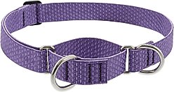 LupinePet ECO Recycled Martingale Dog Collar, Lilac, X-Large: 19 to 27-in