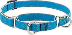 LupinePet Reflective Diamonds Martingale Dog Collar, Blue Diamond, Medium: 14 to 20-in