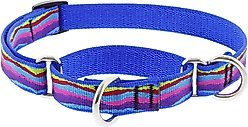 LupinePet Martingale Dog Collar, Ripple Creek, Small: 10 to 14-in