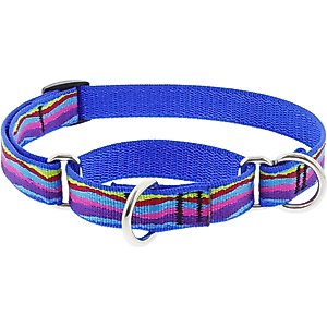 LupinePet Martingale Dog Collar, Ripple Creek, Medium: 14 to 20-in