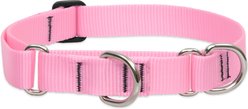 LupinePet Basic Solid Martingale Dog Collar, Pink, Large: 15 to 22-in