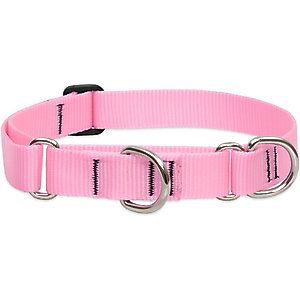 LupinePet Basic Solid Martingale Dog Collar, Pink, Large: 15 to 22-in