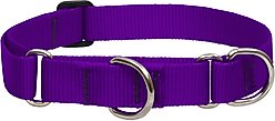 LupinePet Basic Solid Martingale Dog Collar, Purple, Large: 15 to 22-in