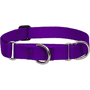 LupinePet Basic Solid Martingale Dog Collar, Purple, Large: 15 to 22-in