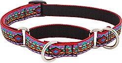 LupinePet Martingale Dog Collar, El Paso, Small: 10 to 14-in