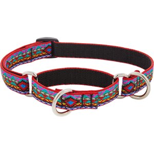LupinePet Martingale Dog Collar, El Paso, Medium: 14 to 20-in