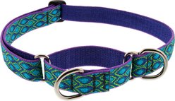 LupinePet Martingale Dog Collar, Rain Song, Large: 15 to 22-in