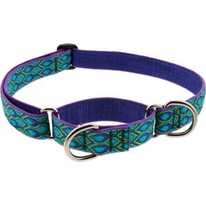 LupinePet Martingale Dog Collar, Rain Song, Large: 15 to 22-in