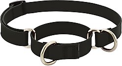 LupinePet Waterproof BioThane Martingale Dog Collar, Jet Black, Medium: 14 to 20-in