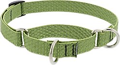 LupinePet ECO Recycled Martingale Dog Collar, Moss, Medium: 14 to 20-in