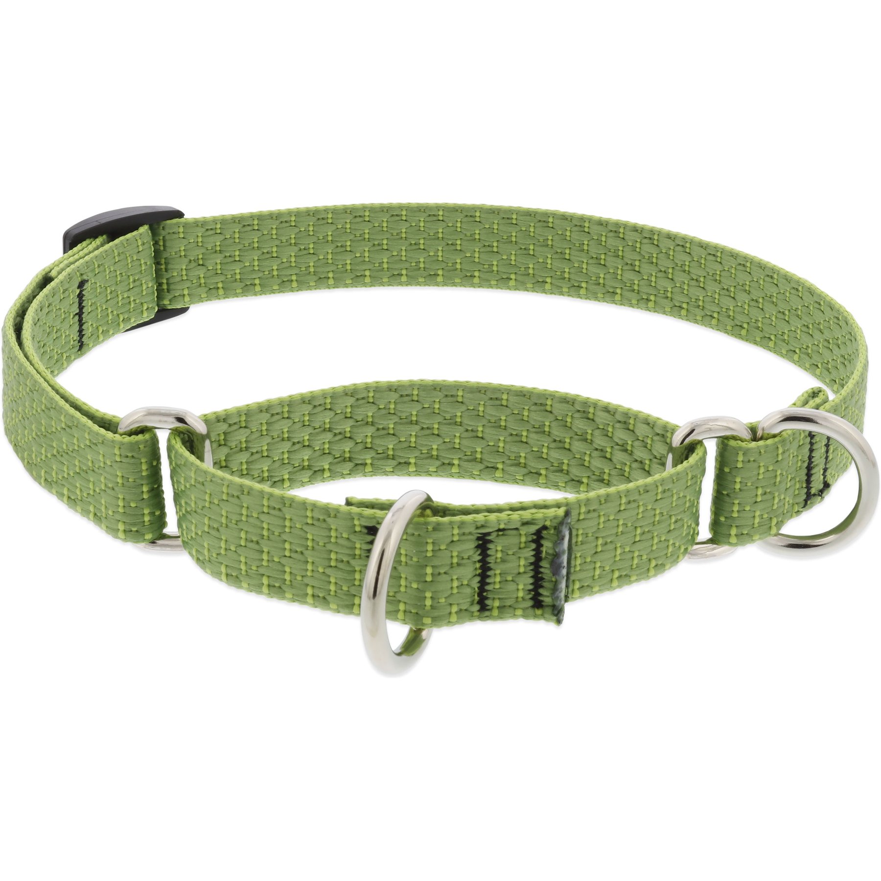 LupinePet ECO Recycled Martingale Dog Collar, Moss, Medium: 14 to 20-in