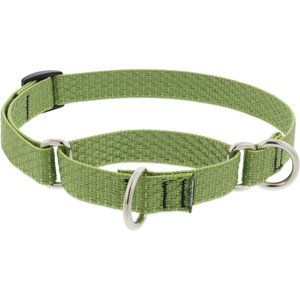LupinePet ECO Recycled Martingale Dog Collar, Moss, Small: 10 to 14-in