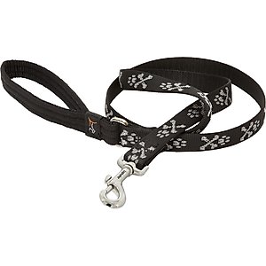LupinePet Padded Handle Dog Leash, Bling Bonz, Regular: 6-ft long, 3/4-in wide