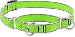 LupinePet Reflective Diamonds Martingale Dog Collar, Green Diamond, Medium: 14 to 20-in