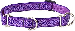 LupinePet Martingale Dog Collar, Jelly Roll, Medium: 14 to 20-in slide 1 of 6