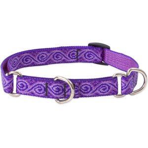 LupinePet Martingale Dog Collar, Jelly Roll, Small: 10 to 14-in