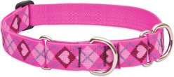 LupinePet Martingale Dog Collar, Puppy Love, Large: 15 to 22-in