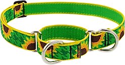 LupinePet Martingale Dog Collar, Sunflowers, Large: 15 to 22-in