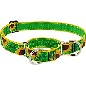 LupinePet Martingale Dog Collar, Sunflowers, Large: 15 to 22-in