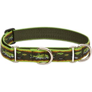 LupinePet Martingale Dog Collar, Brook Trout, Large: 15 to 22-in
