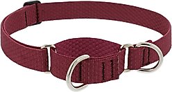 LupinePet ECO Recycled Martingale Dog Collar, Berry, X-Large: 19 to 27-in