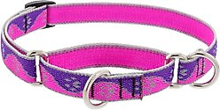 LupinePet Reflective Paws Martingale Dog Collar, Pink Paws, Small: 10 to 14-in slide 1 of 7
