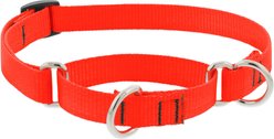 LupinePet Basic Solid Martingale Dog Collar, Blaze Orange, Medium: 14 to 20-in