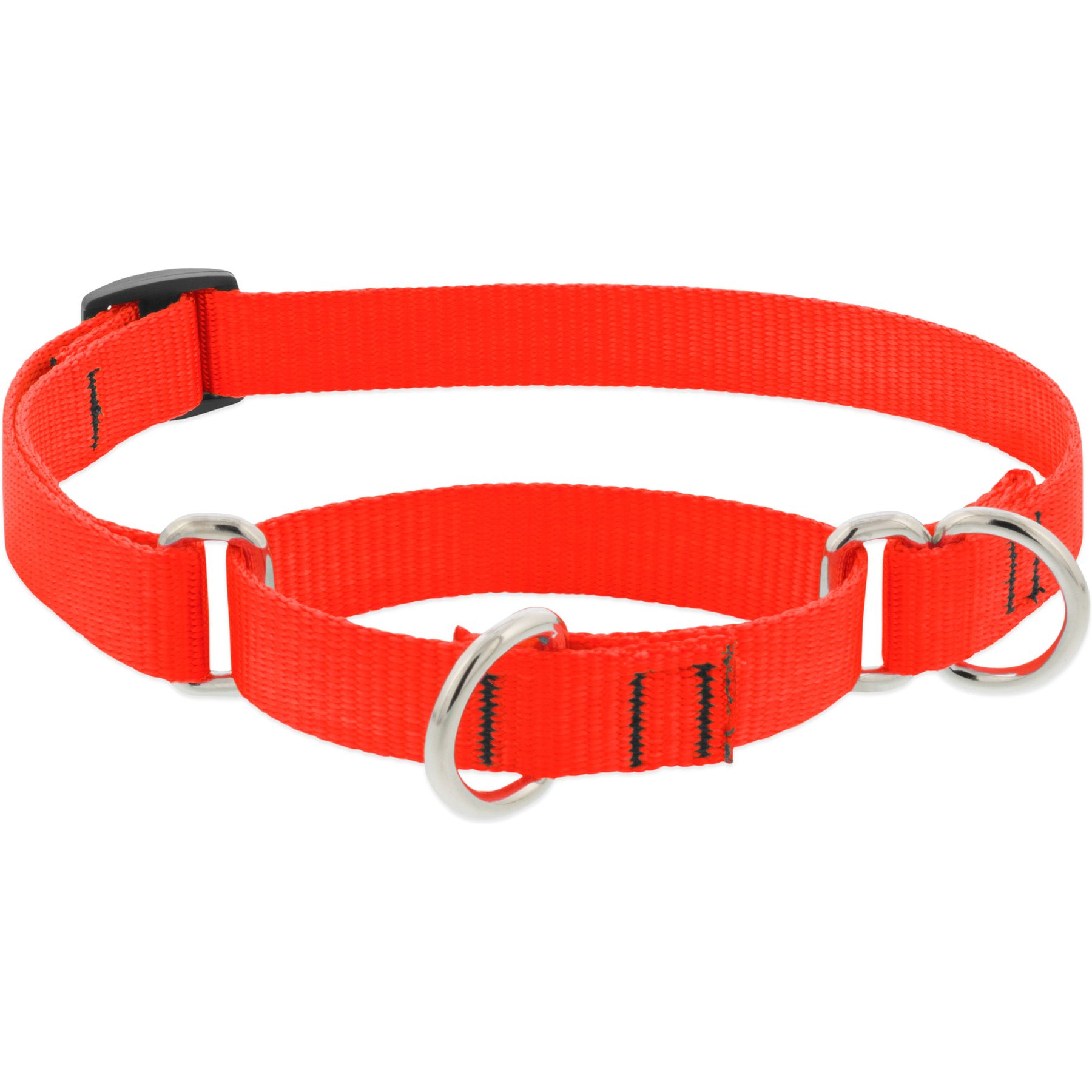 LupinePet Basic Solid Martingale Dog Collar, Blaze Orange, Medium: 14 to 20-in
