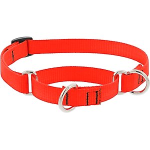 LupinePet Basic Solid Martingale Dog Collar, Blaze Orange, Medium: 14 to 20-in