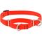 Show in main carousel: LupinePet Basic Solid Martingale Dog Collar, Blaze Orange, Medium: 14 to 20-in slide 1 of 7
