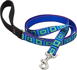 LupinePet Padded Handle Dog Leash, Sea Glass, Regular: 6-ft long, 3/4-in wide